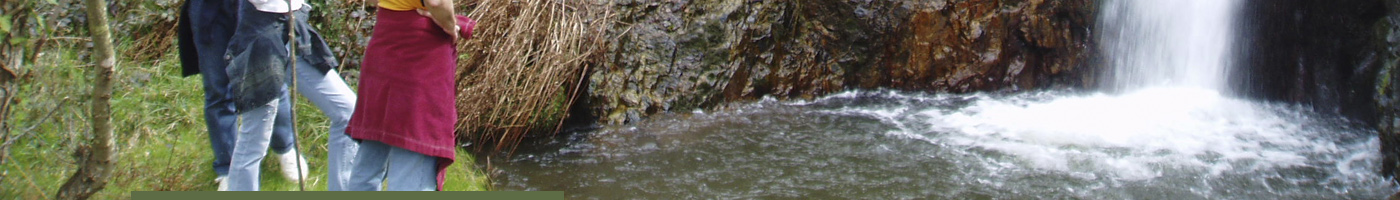 Foto cascada de agua